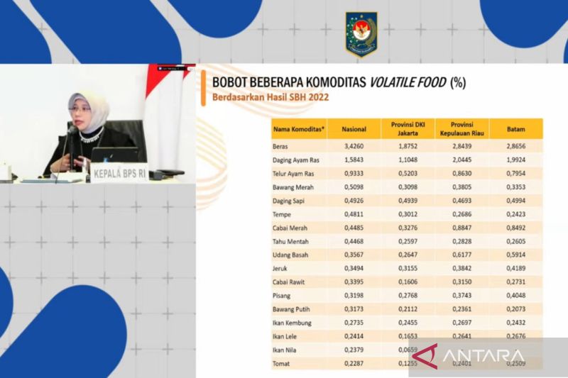 bps-stabilitas-harga-pangan-kunci-kendalikan-inflasi