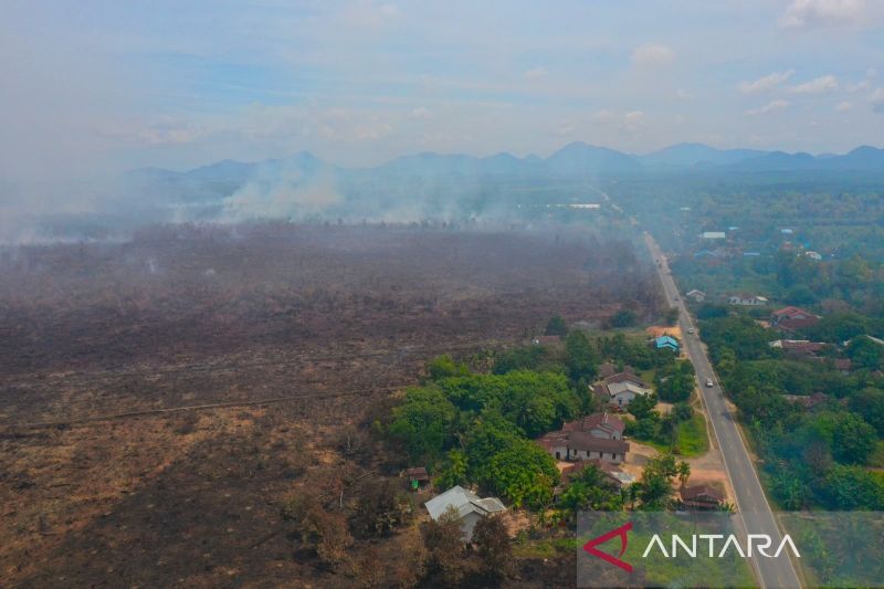 WALHI pantau 1.316 titik panas di kawasan gambut di Kalbar