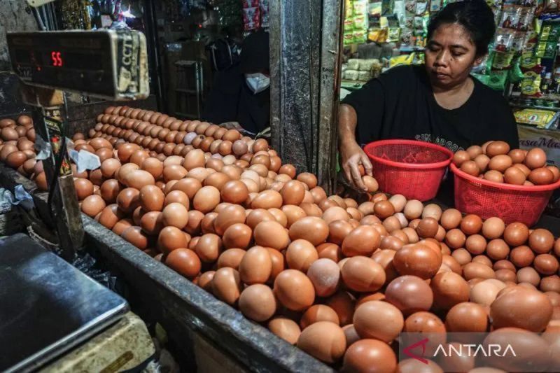 pihps-harga-telur-ayam-rp33050kg-bawang-merah-rp44100kg