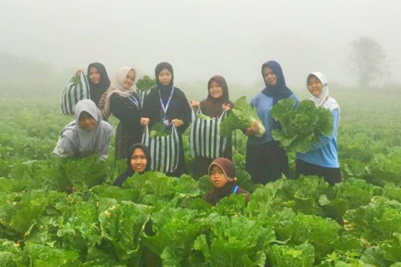 kampung-susu-lawu-magetan-kembangkan-paket-wisata-konsep-alam