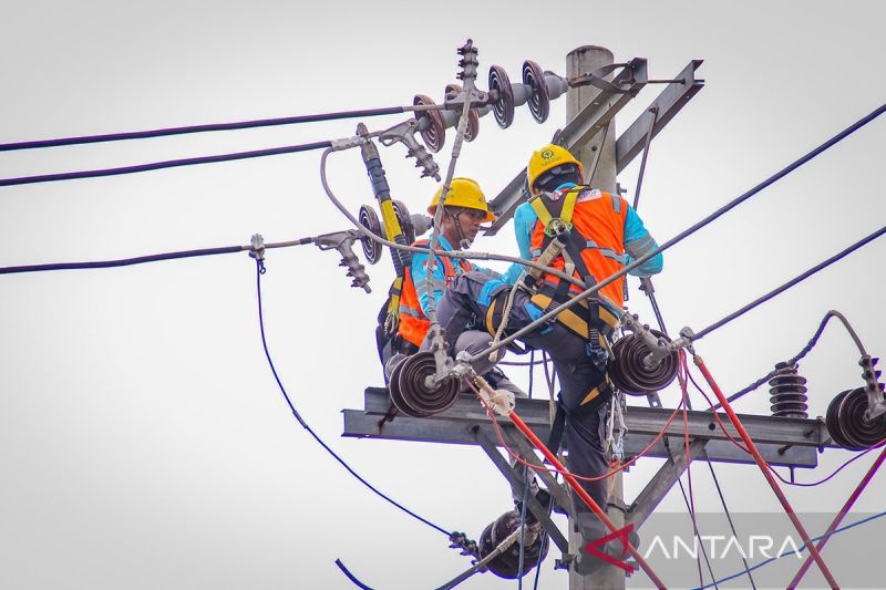 Kebijakan industri dan batas kapasitas negara