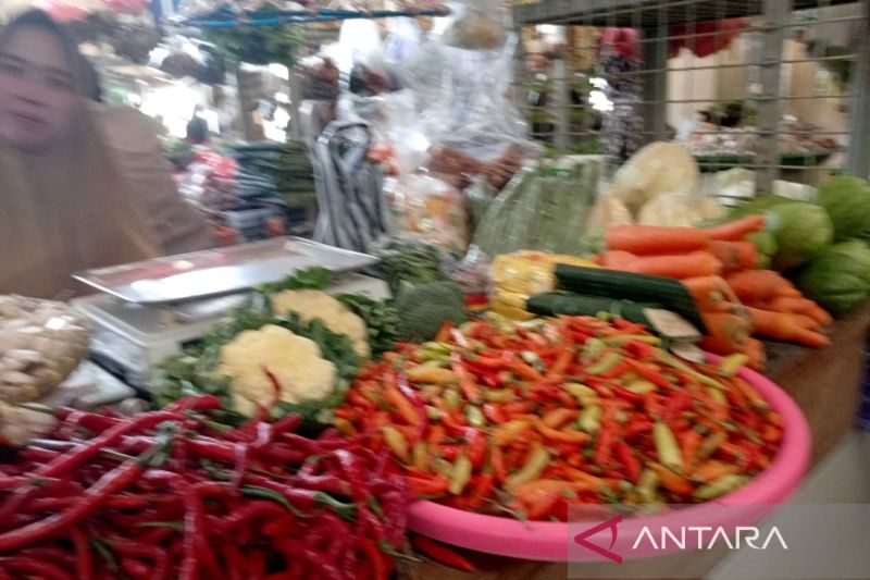 indef-kenaikan-harga-cabai-saat-lebaran-ikuti-pola-musiman