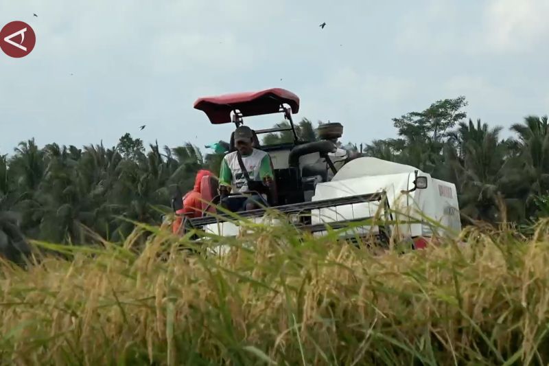 Modernisasi pertanian dorong produktivitas dan regenerasi petani