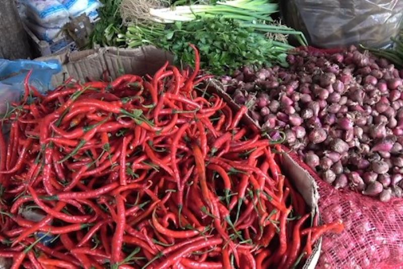 harga-cabai-makin-pedas-pemerintah-siapkan-instrumen-ekonomi