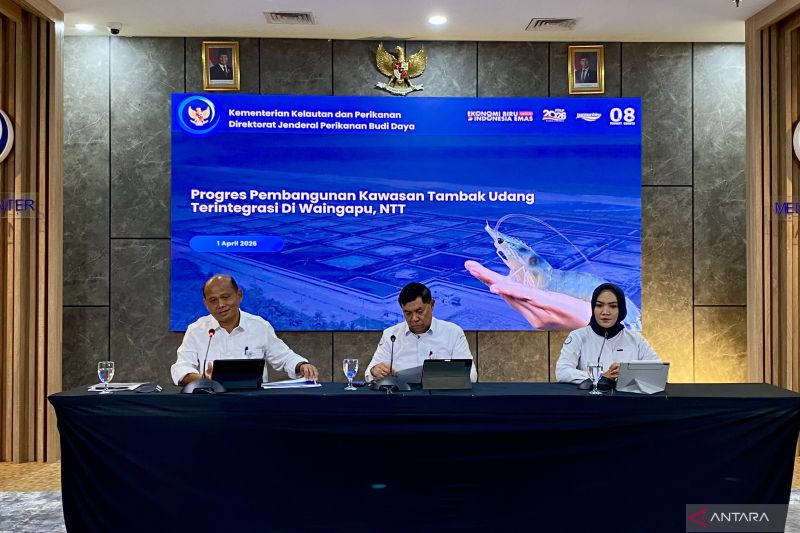 tambak-udang-waingapu-ditargetkan-mulai-beroperasi-tahun-depan