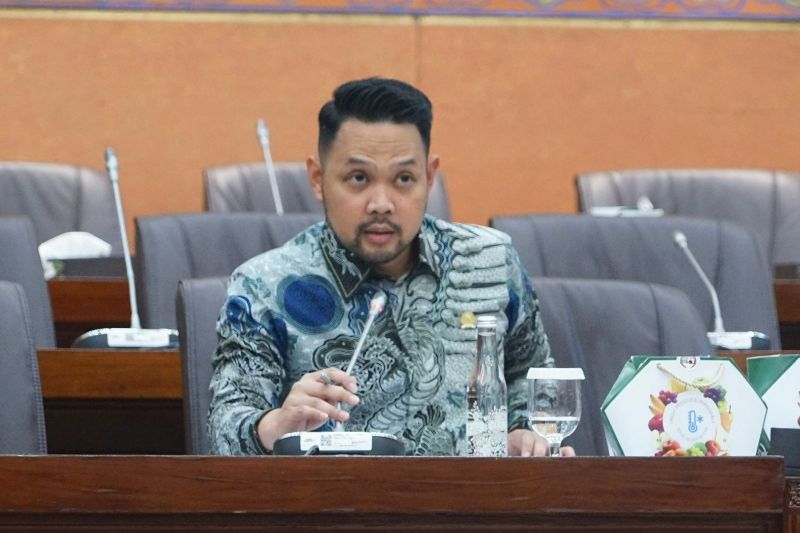 anggota-dpr-minta-pemerintah-antisipasi-dampak-harga-avtur-dunia-naik