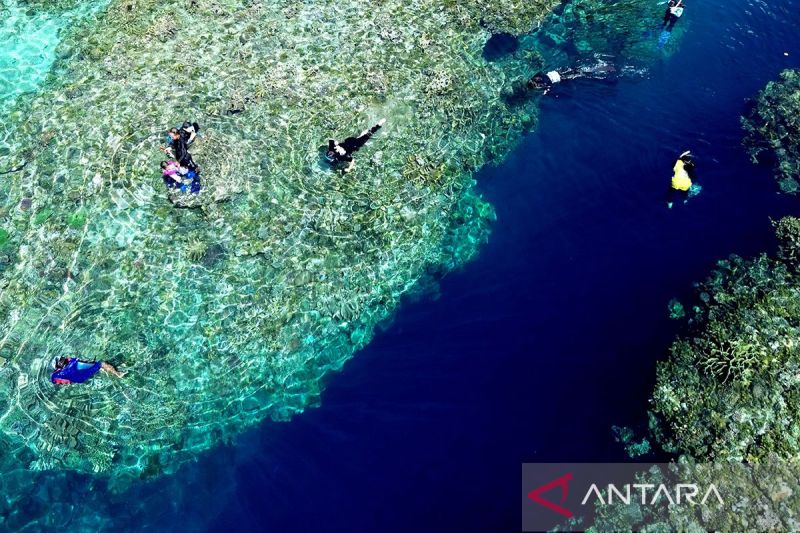 indonesia-perkuat-kolaborasi-global-dalam-perlindungan-laut-lepas