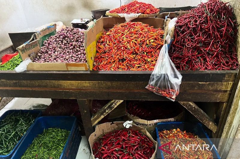 jumat-pagi-harga-cabai-rawit-rp84650kg-telur-ayam-rp32650kg