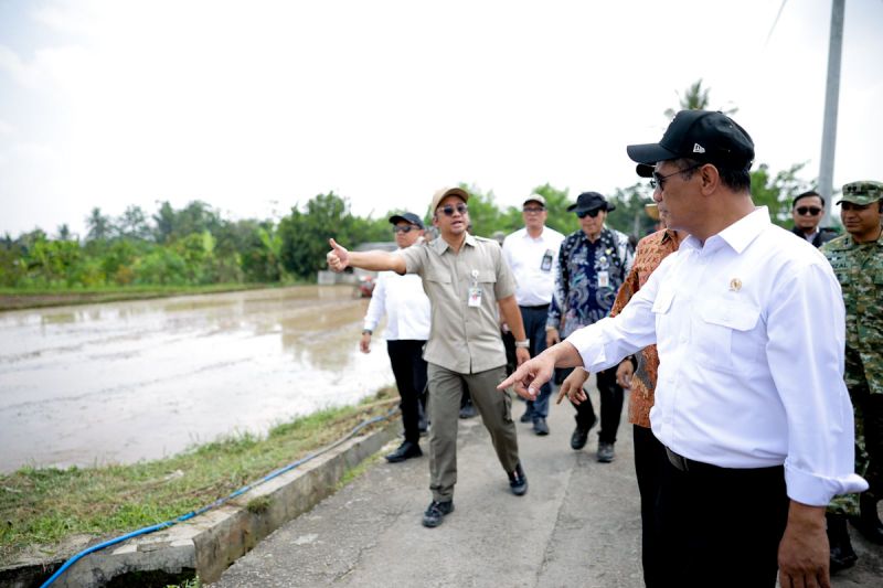 mentan-perkuat-irigasi-perpompaan-tingkatkan-produktivitas-pertanian