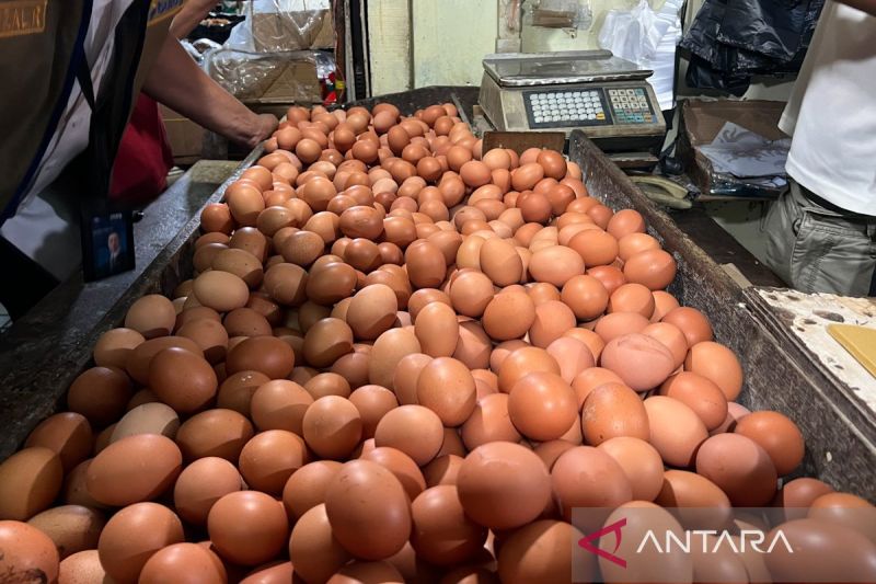 pihps-harga-telur-ayam-rp32000-per-kg-bawang-merah-rp45950-per-kg