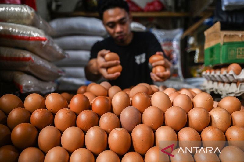 PIHPS: Harga telur ayam Rp32.000 per kg, bawang merah Rp45.950 per kg
