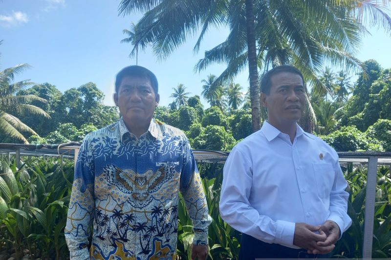 mentan-siap-bantu-bibit-jagung-untuk-15-ribu-hektare-di-sulut