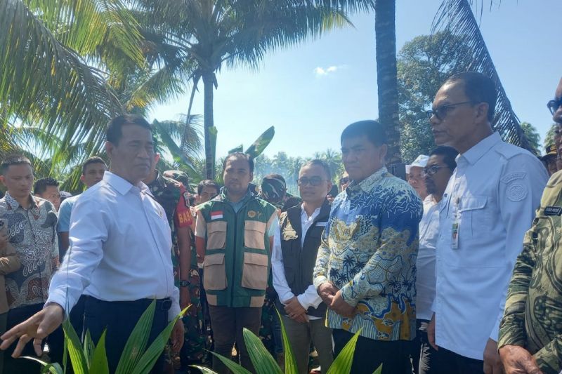 mentan-minta-aparat-hukum-awasi-ketat-pengembangan-kelapa-di-sulut