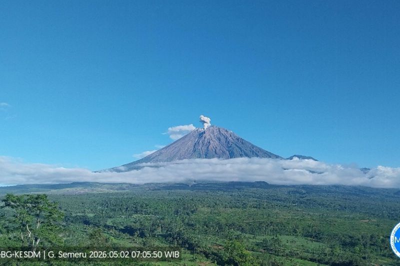 Gunung Semeru dua kali erupsi dengan tinggi letusan 700 meter