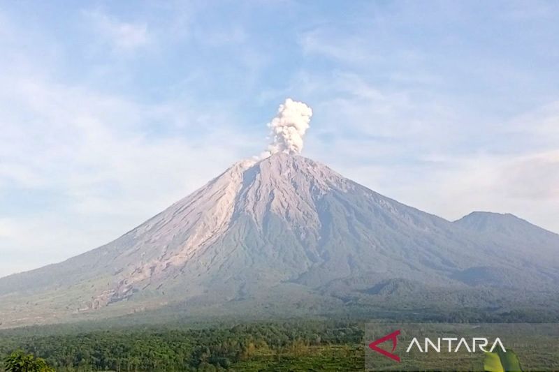Gunung Semeru tiga kali erupsi dengan tinggi letusan hingga 800 meter