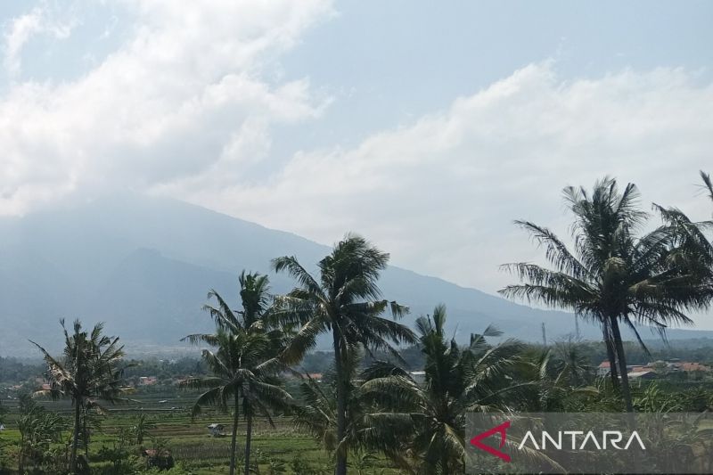 pemkab-kuningan-kembangkan-kelapa-jadi-komoditas-unggulan-daerah