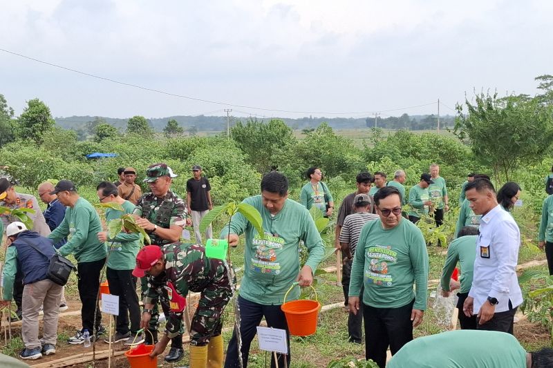 menteri-pkp-dorong-satu-rumah-tanam-dua-pohon-dukung-penghijauan