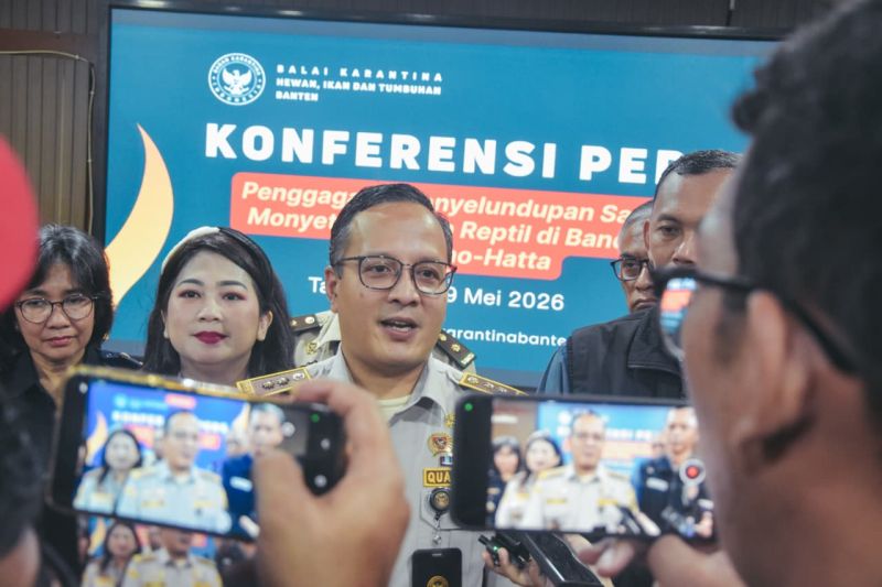 penyelundup-marmoset-hingga-bearded-dragon-terancam-10-tahun-penjara