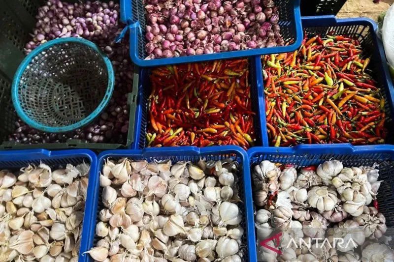pihps-harga-cabai-rawit-rp61150-per-kg-telur-ayam-rp30850-per-kg