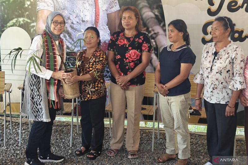 Perempuan Flores mulai kelola hutan negara