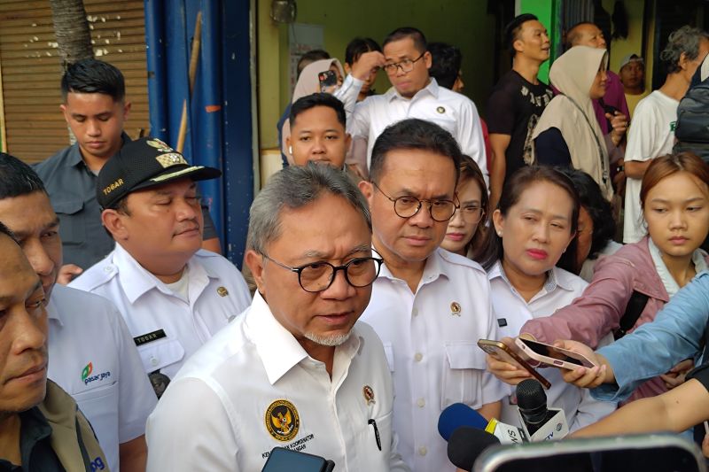 menko-pangan-pemerintah-siap-subsidi-jika-pangan-impor-lampaui-het