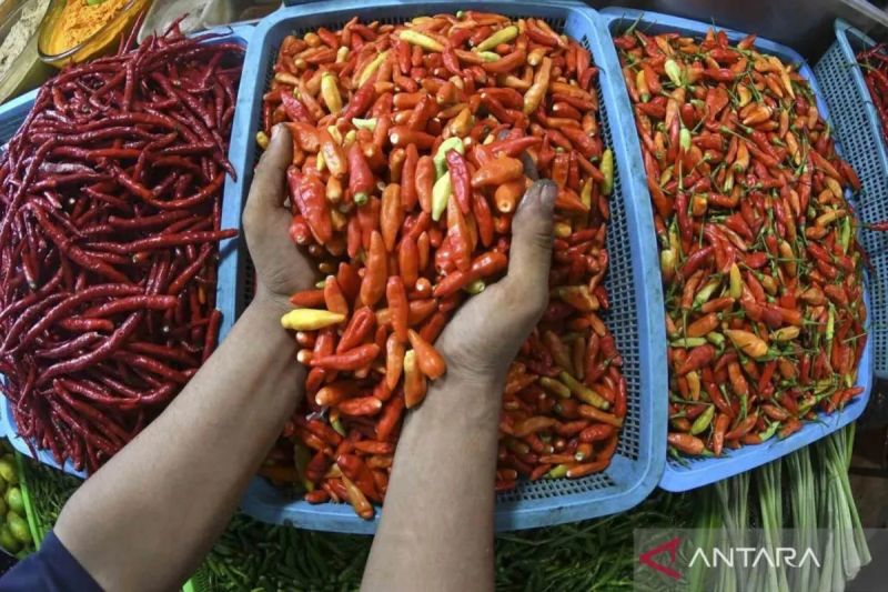 pihps-harga-cabai-rawit-rp74150kg-telur-ayam-rp41850kg