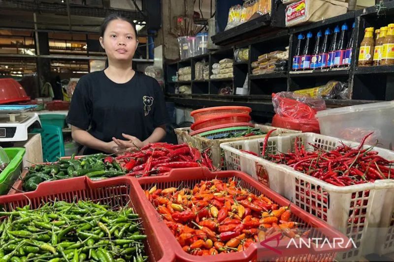 pihps-harga-cabai-rawit-rp72500kg-telur-ayam-rp30300kg