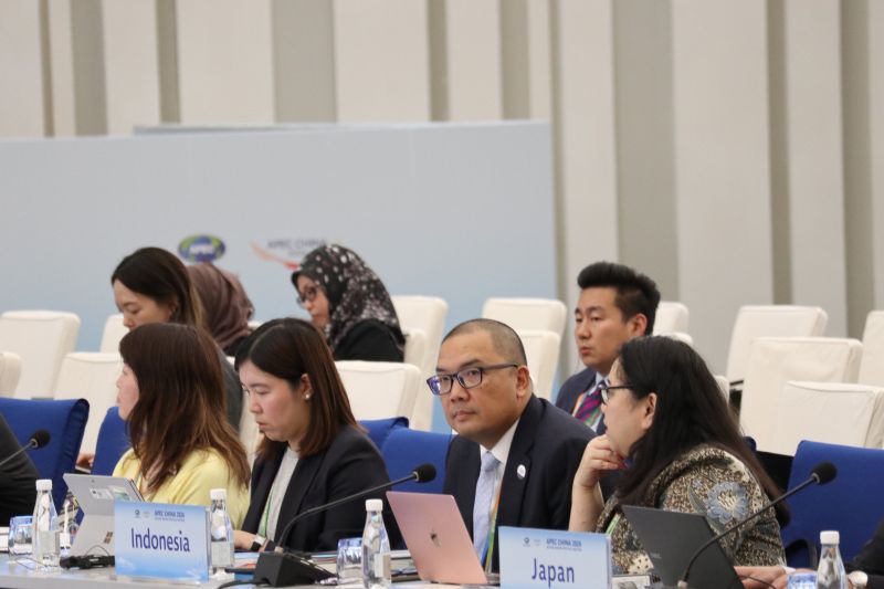 Indonesia nilai pertemuan Xi-Trump bawa suasana positif dalam APEC? — INDONESIA — ERYU PROJECT