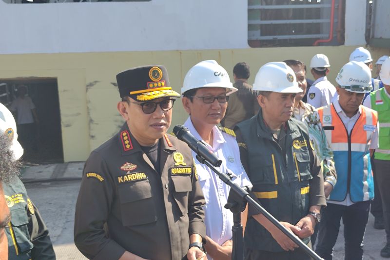 barantin-terapkan-kebijakan-satu-arah-sapi-asal-ntt-cegah-sebaran-pmk