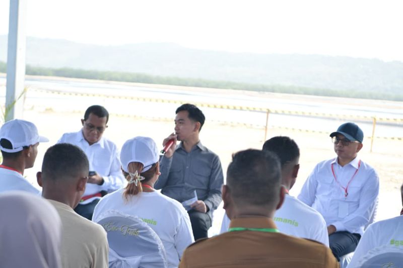 wapres-pengembangan-garam-di-rote-ndao-dukung-kebutuhan-nasional