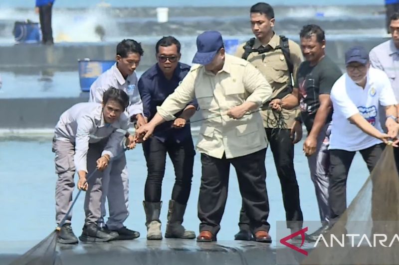 Prabowo tinjau panen raya udang di Tambak Budidaya Kebumen