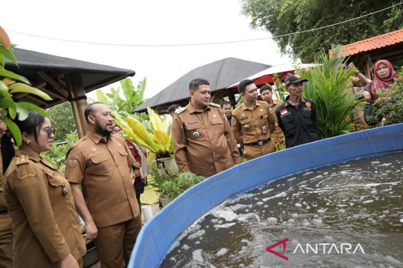Pemkot Makassar gencarkan pertanian perkotaan guna pasok kebutuhan MBG