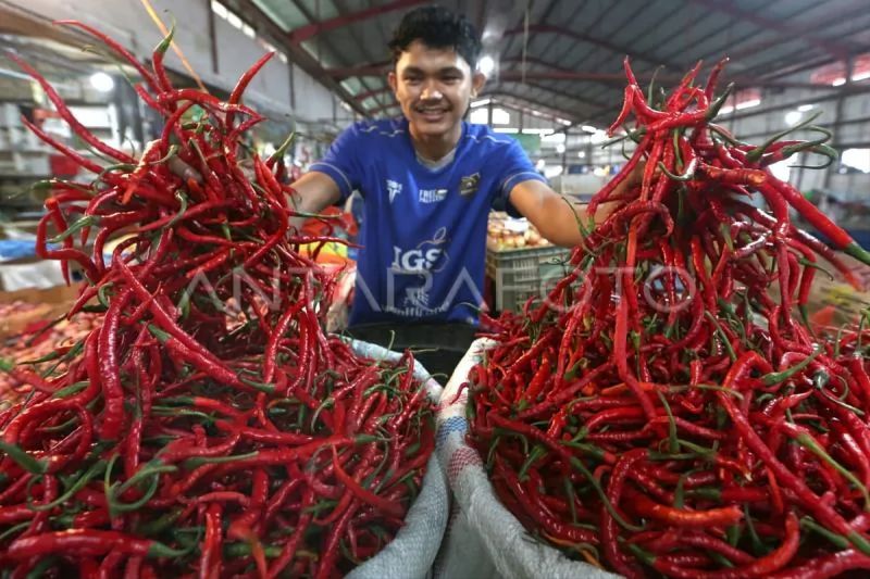 core-penguatan-cold-chain-kunci-putuskan-siklus-gejolak-harga-cabai