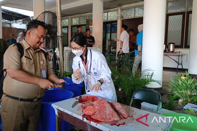 Sudin KPKP Jakbar periksa daging kurban yang disembelih di 121 titik