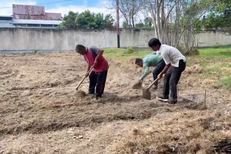 pemkot-palu-galakkan-urban-farming-untuk-kemandirian-pangan-keluarga
