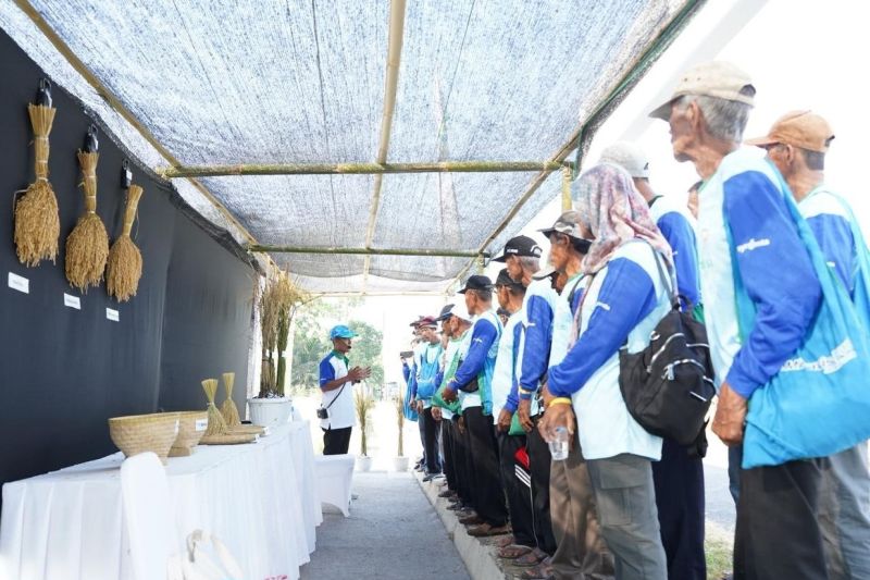 syngenta-indonesia-luncurkan-inovasi-fungisida-untuk-budidaya-padi