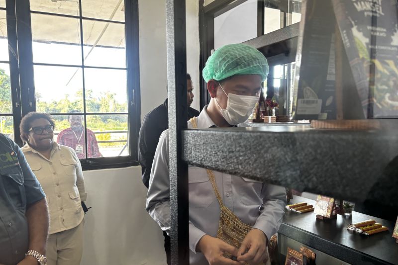 wapres-kunjungi-sentra-produksi-kakao-di-manokwari-selatan