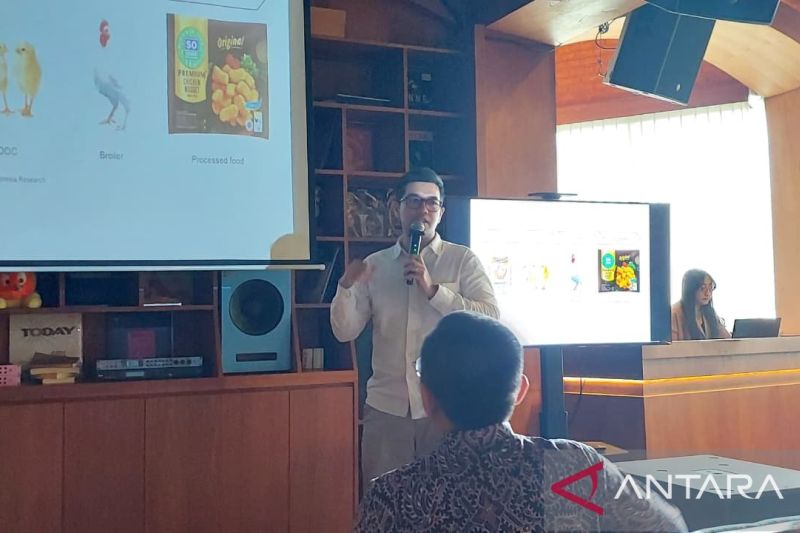 Analis: Profitabilitas sektor perunggasan membaik dengan program MBG