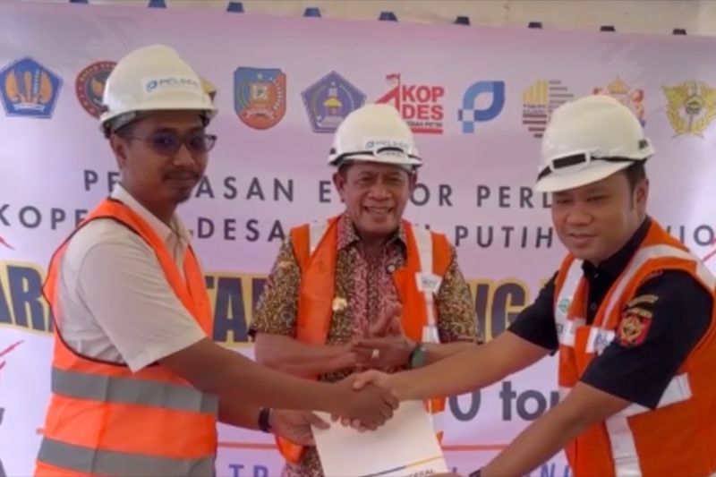 bea-cukai-kendari-asistensi-pelaku-umkm-di-sultra-lakukan-ekspor