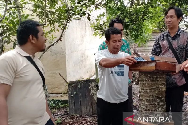 Dana karbon bantu warga hutan Kaltim kembangkan usaha madu kelulut