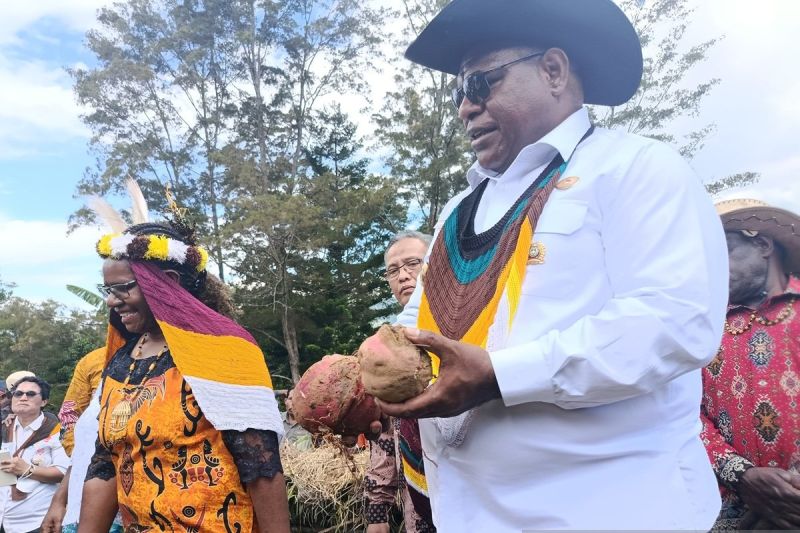 Pemkab Jayawijaya pacu budi daya komoditas lokal demi ketahanan pangan
