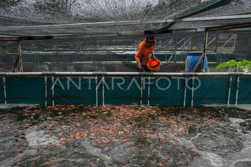 Pemkot Jakpus distribusikan 48 paket sarana budi daya perikanan