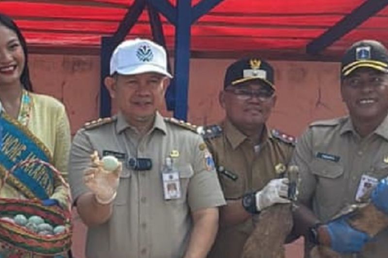 Pemkab Kepulauan Seribu kelola sampah organik lewat inovasi kandang bebek