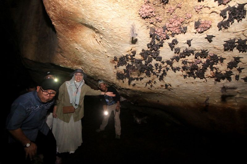 Kalsel gaet BRIN kaji situs arkeologi Meratus untuk diuji di Australia