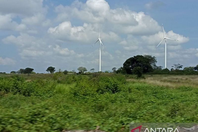 Peneliti: Tata kelola ekspor batubara dukung transisi energi 