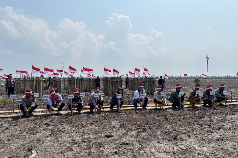 Perkuat Sinergi untuk Pesisir: M4CR dan Polda Riau Tanam Mangrove di Kuala Selat