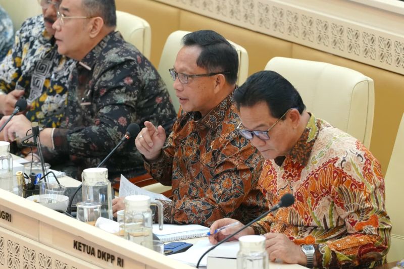 Mendagri: Pemerintah memperkuat penataan PPPK lintas profesi