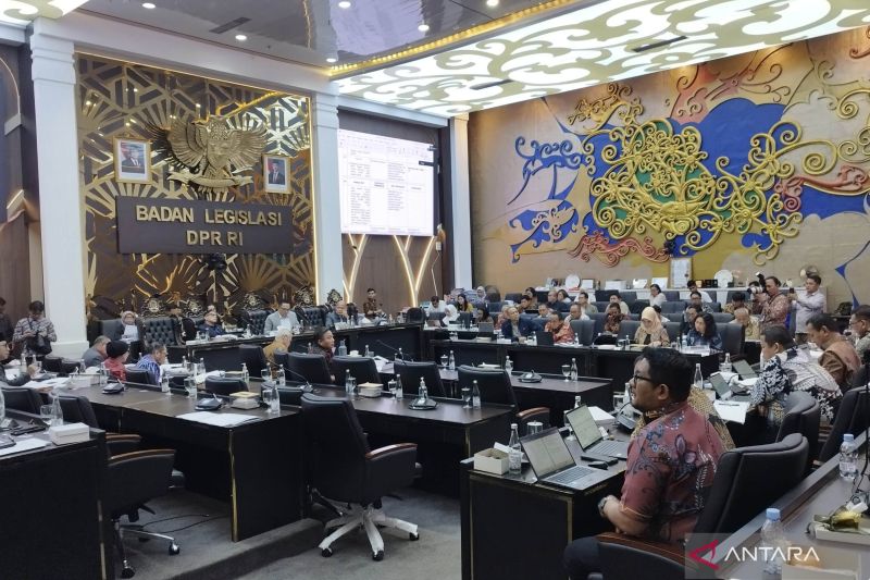 Pemerintah minta DPR tidak mengatur nomenklatur BRAN di RUU Reforma Agraria