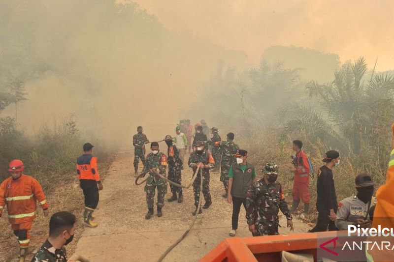 Akses dan sumber air kendala pemadaman karhutla Batang Hari