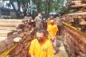 Oknum anggota Polri tersangka pemilik245 potong kayu  ilegal